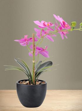 盆可仿真富贵竹假花绿家居客厅QKD1763-装饰植物假富贵竹子护眼室