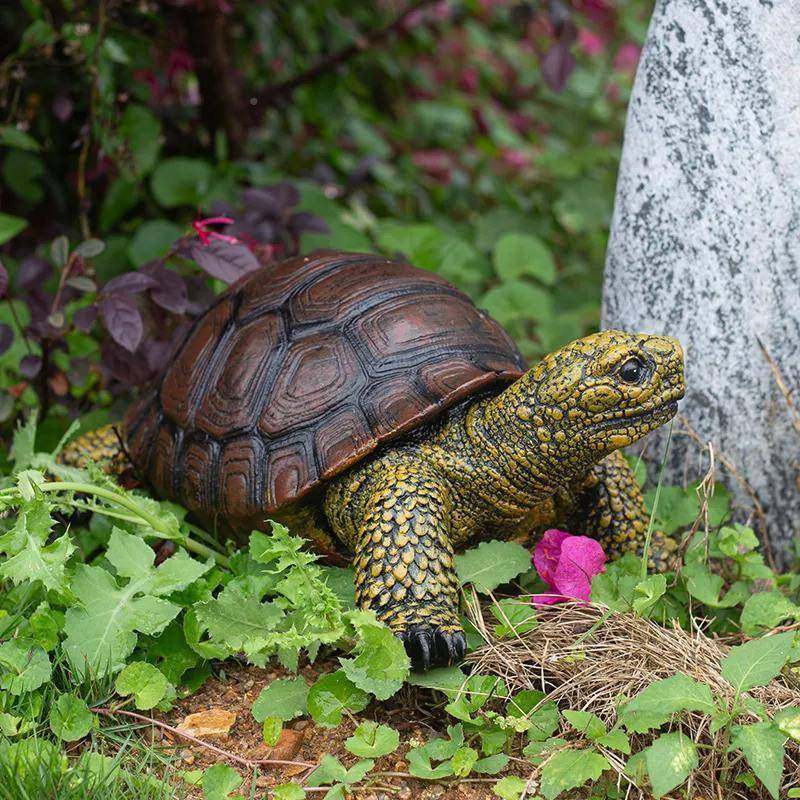 热销户外仿真龟摆WGW001件花园乌院园林景观装工饰动物树庭脂艺摆