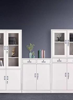 铁皮储物柜*家用档案文件柜*钢制纳资证料收财务凭办公柜ZGP室矮