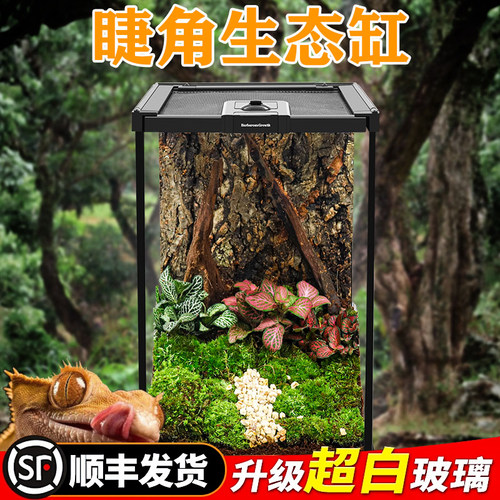 BG超白玻璃树栖睫角饲养箱爬宠爬虫饲养缸生态雨林造景宠物树蛙蛇