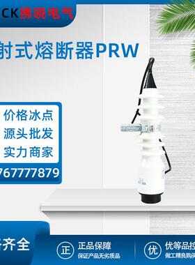 喷射式熔断器PRW-12/100跌落式封闭型保险操纵杆拉闸10kv户外令克