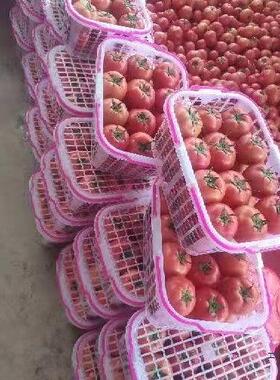 1-1斤新料配盖卡扣设计水果篮草莓杨梅鸡F96559HH蛋4蔬菜篮葡采摘