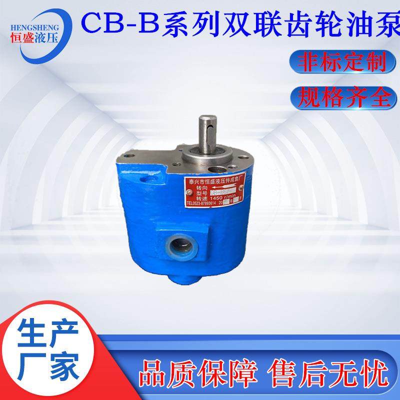 两进两5出CB-B1UDI6/20B10B32B804CB-B2/6双联润滑齿轮抽油B泵
