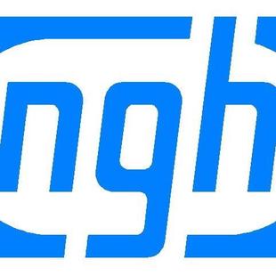 PG9RO1T/4-392CDI电子点火器202ngh航模发动机汽油单缸固定GT9-PR