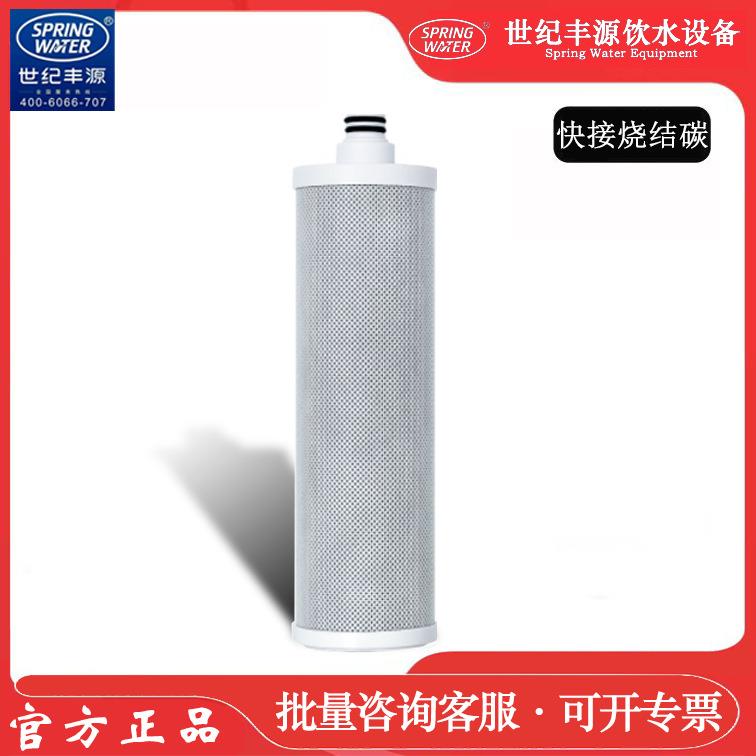 世纪丰源饮水机滤芯快接式滤芯9.5寸快接式烧结活性炭棒