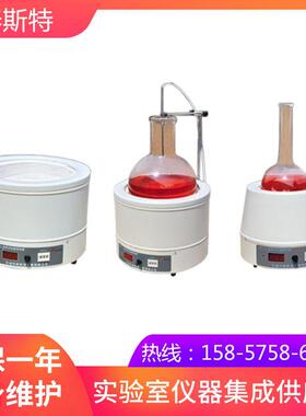 天津泰斯特98-I-C20000ml电热套