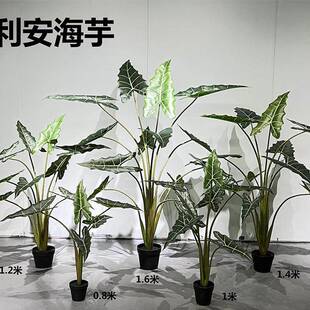 仿真萨利安海芋盆栽北欧风仿真海芋树室内外各种仿真绿植仿真仙芋