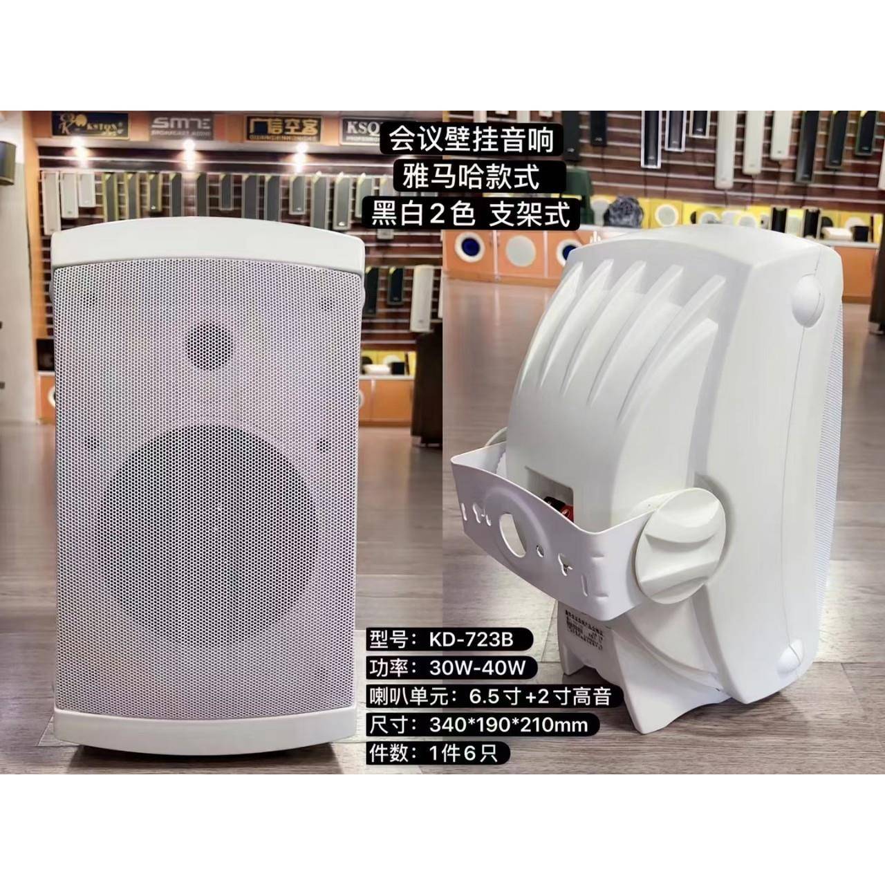 会议带高音壁挂音响黑白两色定阻定压公共广播壁挂音箱