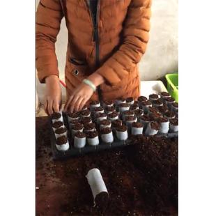 无纺布营养块成型机农用营养钵装土机全自动蔬菜育苗压块机