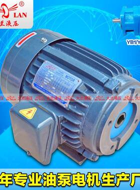 1HP2HP大兰DALAN液压内轴电机YB1油泵专用电机DL-802-4-0.75KW
