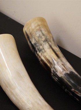 一枚橙 天然中古牛角售楼部样板房茶几台面压书摆件电视柜装饰品