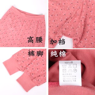 中老年女士纯棉秋裤宽松高腰妈妈不加绒保暖针棒线裤加肥加大衬裤