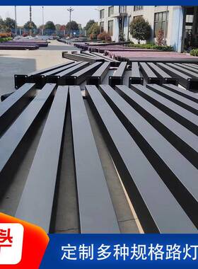 家直供厂路热灯杆自弯双臂6OFO米海螺单臂景镀锌灯杆观灯