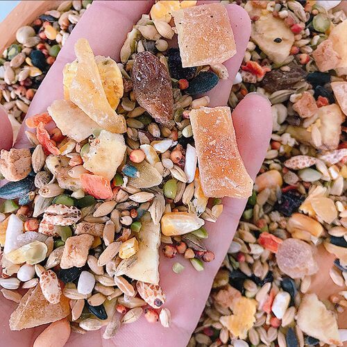 仓鼠粮食金丝熊食主粮仑鼠小宠磨牙用品套餐齐全小零食营养面包虫