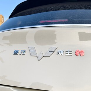 吾乃五菱萌主盟主高手缤果宏光星辰汽车贴原车材质3D立体字车标贴