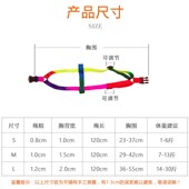 狗狗牵引绳狗链子幼犬遛狗绳子胸带小型犬比熊泰迪狗彩虹宠物用品