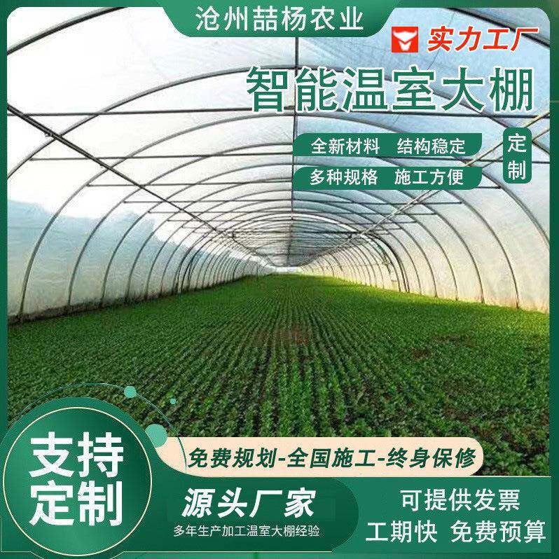 单栋薄膜温室大棚暖棚养殖种植大棚单体智能温室大棚薄膜大棚