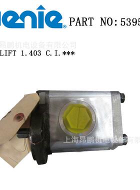 供应吉尼高空作业配件 S80 s60老款车型齿轮泵 原厂件号53959