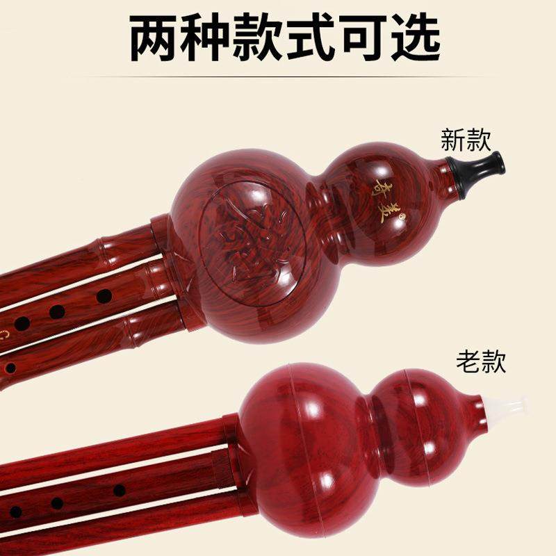 奇美红木葫芦民族乐器初学TMX盒子丝小仿生教学降B调C调葫学芦丝