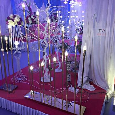 10头拉龙珠色灯泡婚庆HTO尾路引金尖头灯泡创意星光路引道具