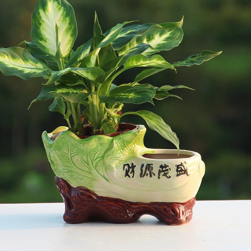 双口连体陶瓷花盆室内发财树盆栽盆景个性复古大白菜造型多孔花盆