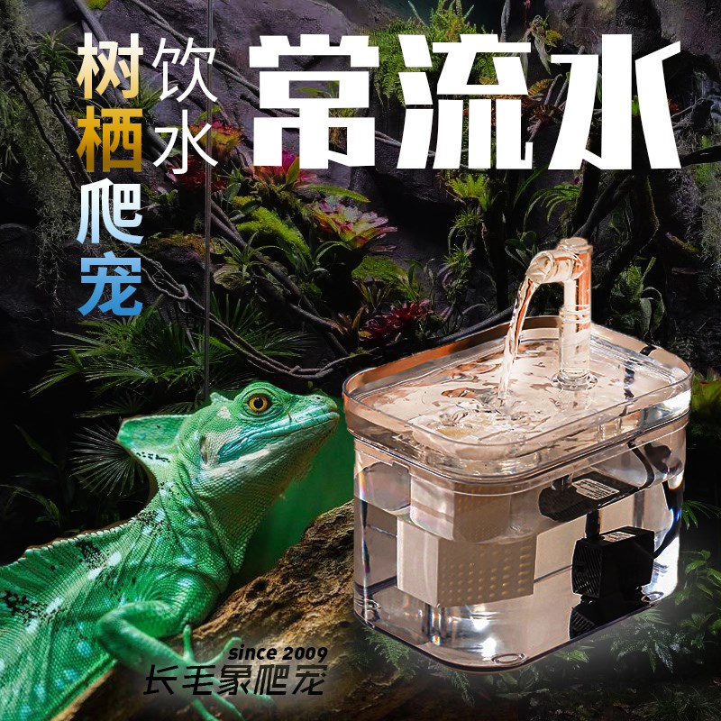 爬宠自动饮水器伞蜥蜴斑帆蜥饮水盆长常流水饮水器珠宝蜥蜴