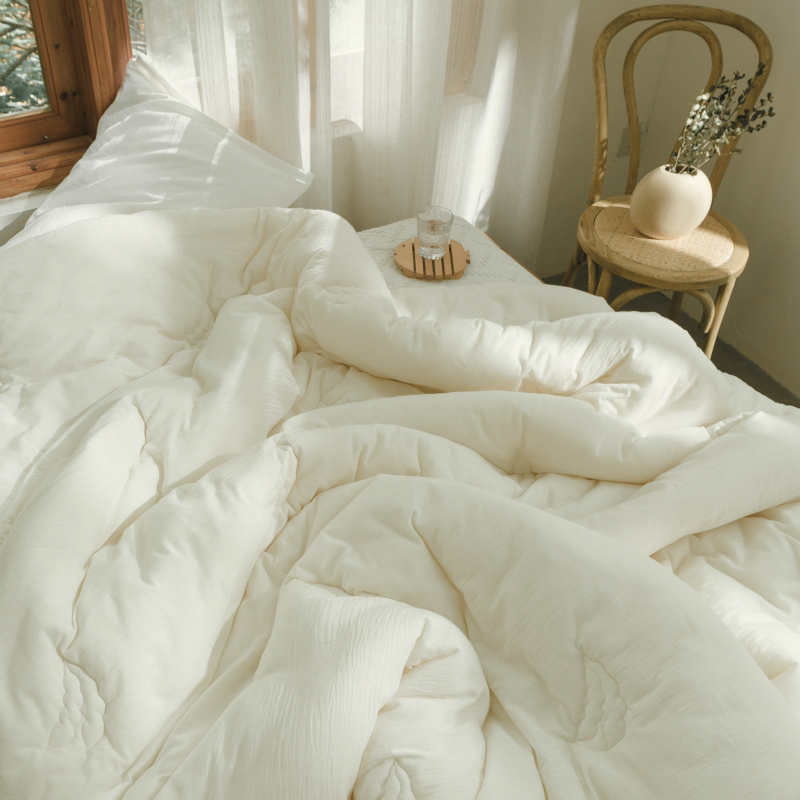 A类全棉加厚保暖大豆纤维春秋被子四季被薄款夏凉空调被冬被被芯