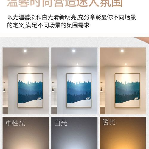 金色led筒灯2.5寸5W7W开孔8 9 10cm公分3.5寸家用客厅吊顶天花灯