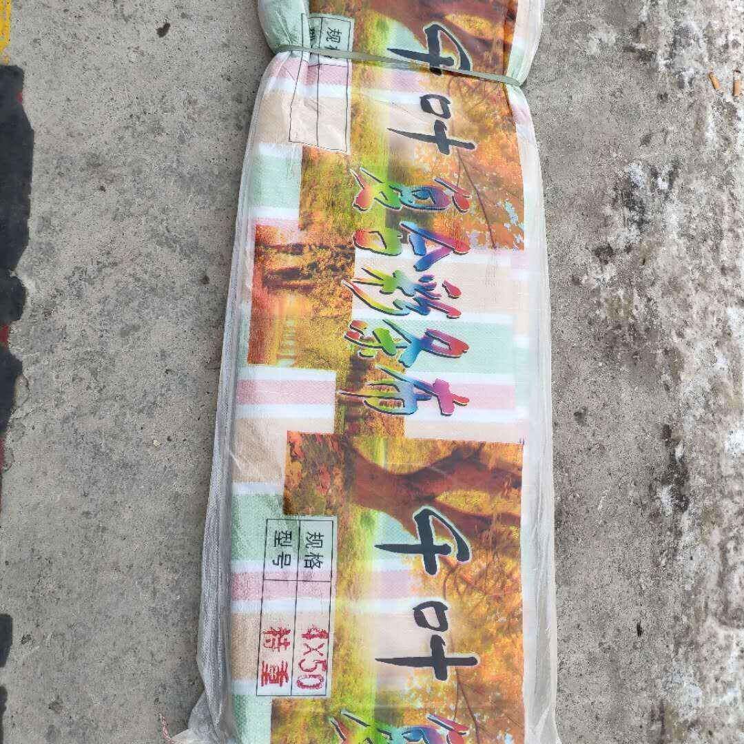 加厚防雨布彩条布南韩布水晶绿抗晒抗老化结实耐用足米金包银直销