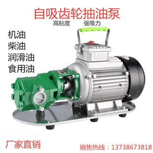 WCB齿轮电动220V小型抽油泵机油泵液压油耐腐蚀防爆自吸式齿轮泵