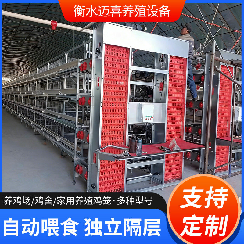 小层叠全自动蛋鸡笼背负式喂料全自动养殖专业养鸡设备自动集蛋