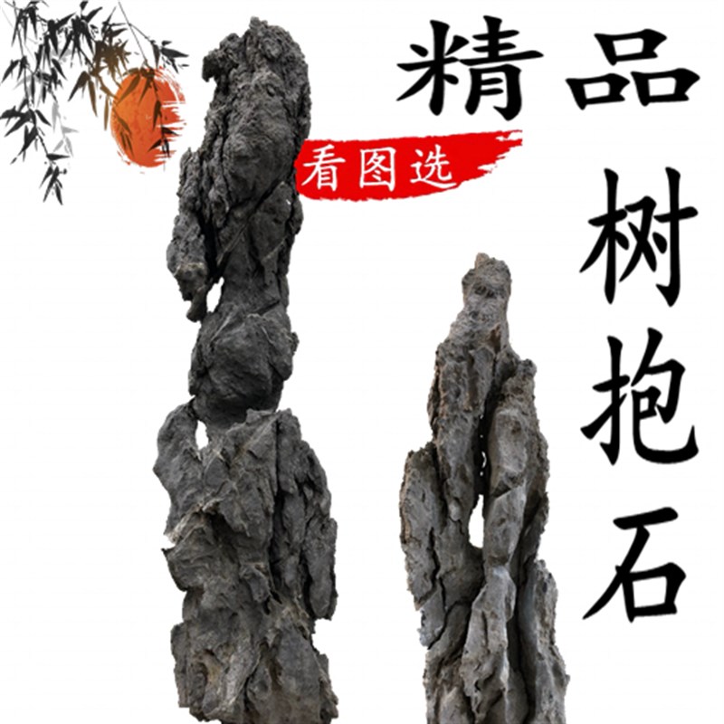 青龙石天然石树抱石装饰盆景造景绿值花盆摆件附树石盆景鱼缸装饰