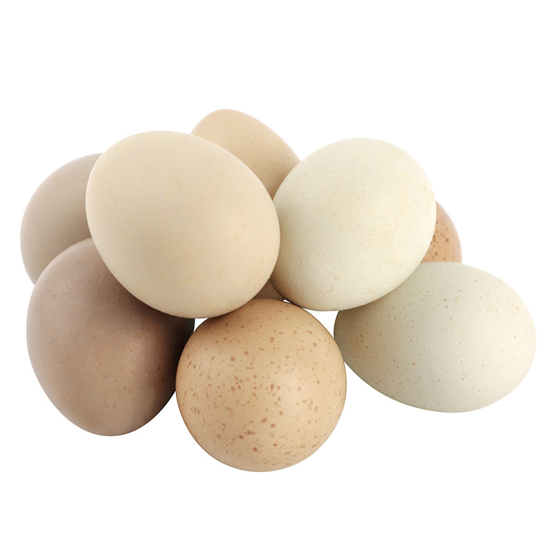 网红宠物鸡受精蛋迷你阳台鸡受精卵可孵化纯白礼服德系观赏宠物鸡,宠物/宠物食品及用品,宠物鸡,淘宝优惠券,粉丝福利购,淘宝优惠卷