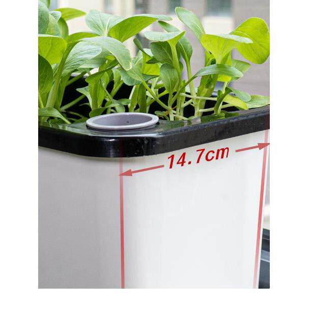 长窄边阳台种盆长形花槽蔬菜方种加植专用菜箱窗台种花gygy葱懒人