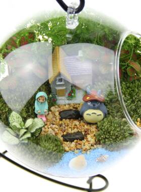 创意礼品礼物6苔藓tz-20181微景观套装趣生态瓶味1圆底吊瓶活植物