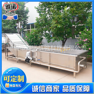 全自动果蔬清洗机苹果高压喷淋清洗机叶菜类蔬菜清洗加工设备