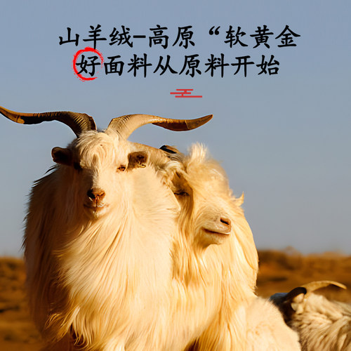 山棕床垫子天然纯手工粽榈加硬护脊腰家用卧室儿童榻榻米定制单人