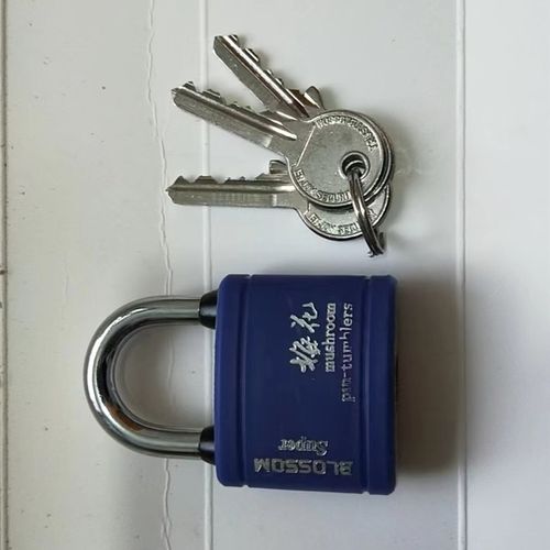 梅花外用挂锁门锁防水锁包胶锁铜锁芯40锁6级防锈挂锁车位锁挂锁