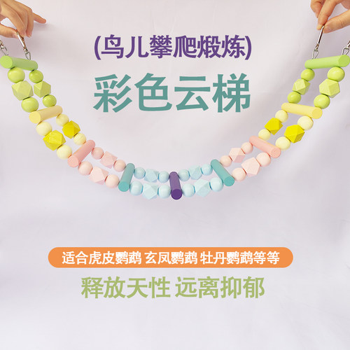 彩色云梯爬梯鹦鹉玩具用品大全鸟用虎皮玄凤鸟牡丹笼梯子啃咬攀爬