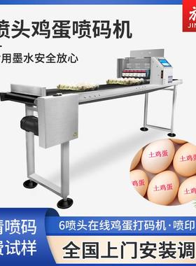 旌元J-512鸡蛋喷码机蛋托六喷头流水线喷码食品级油墨
