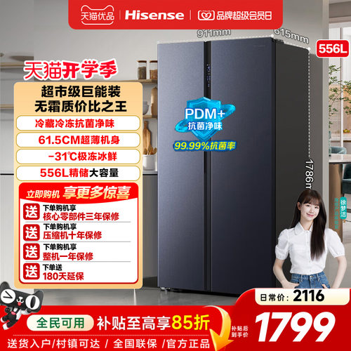 冰箱双开门冰箱一级能效无霜超薄冰箱大容量556升变频电冰箱家电