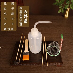 蛐蛐蟋蟀黑虫油葫芦鸣虫饲养罐用品工具捉网夹子毛刷斗草提笼套装