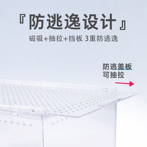 寄居蟹生态缸亚克力爬宠饲养箱雨林造景守宫宠物蛇角蛙两栖水陆缸