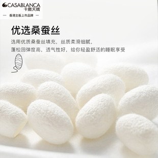 卡撒天娇枕头蚕丝枕芯护颈枕单人学生成人颈椎家用2024新品枕头