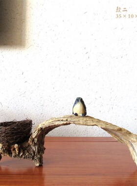 千年胡杨老树古树随形风化枯木根艺摆件家居软装禅意创意高档送礼