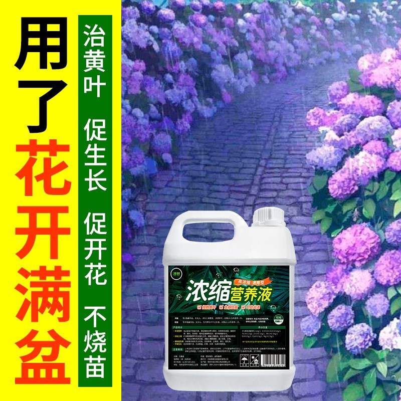 植物营养液浓缩通用型绿植花卉花肥家用盆栽营养园艺肥料绿萝叶%