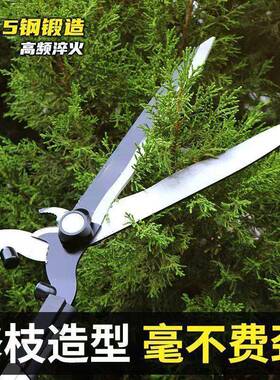 园艺ZOP修枝剪修绿草坪绿篱剪大花剪园林剪枝工具修剪枝化树专用