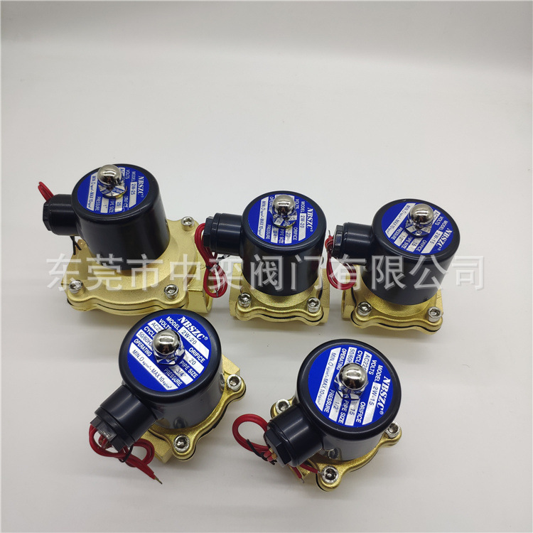 NBSZC神洲电磁阀2W-025-08-10-15-20-25-35-40-50AC220VDC24V水阀