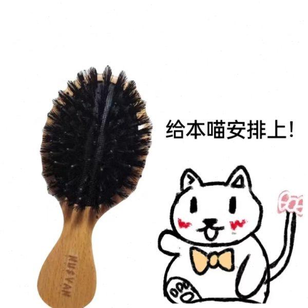 快上船 NUSVAN气垫梳子猪鬃毛小猪梳子便携随身携带防静电梳子,家庭/个人清洁工具,梳子/化妆梳/按摩梳,淘宝优惠券,粉丝福利购,淘宝优惠卷