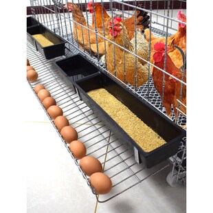 室外养鸡棚养鸡笼家用鸡舍围栏网搭建家禽自动滚蛋大号铁丝养殖笼